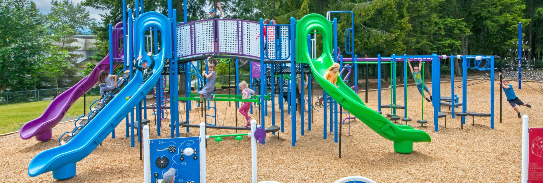 vibrant Blue Imp playground featuring slides in purple, blue and green along with multiple climbing, hanging and ground-level activities, against an evergreen forest