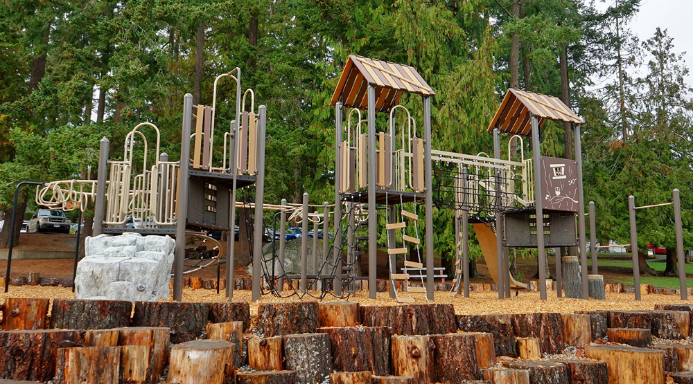 nature-themed playground set amid the forest in B.C. - commercial playground equipment British Columbia